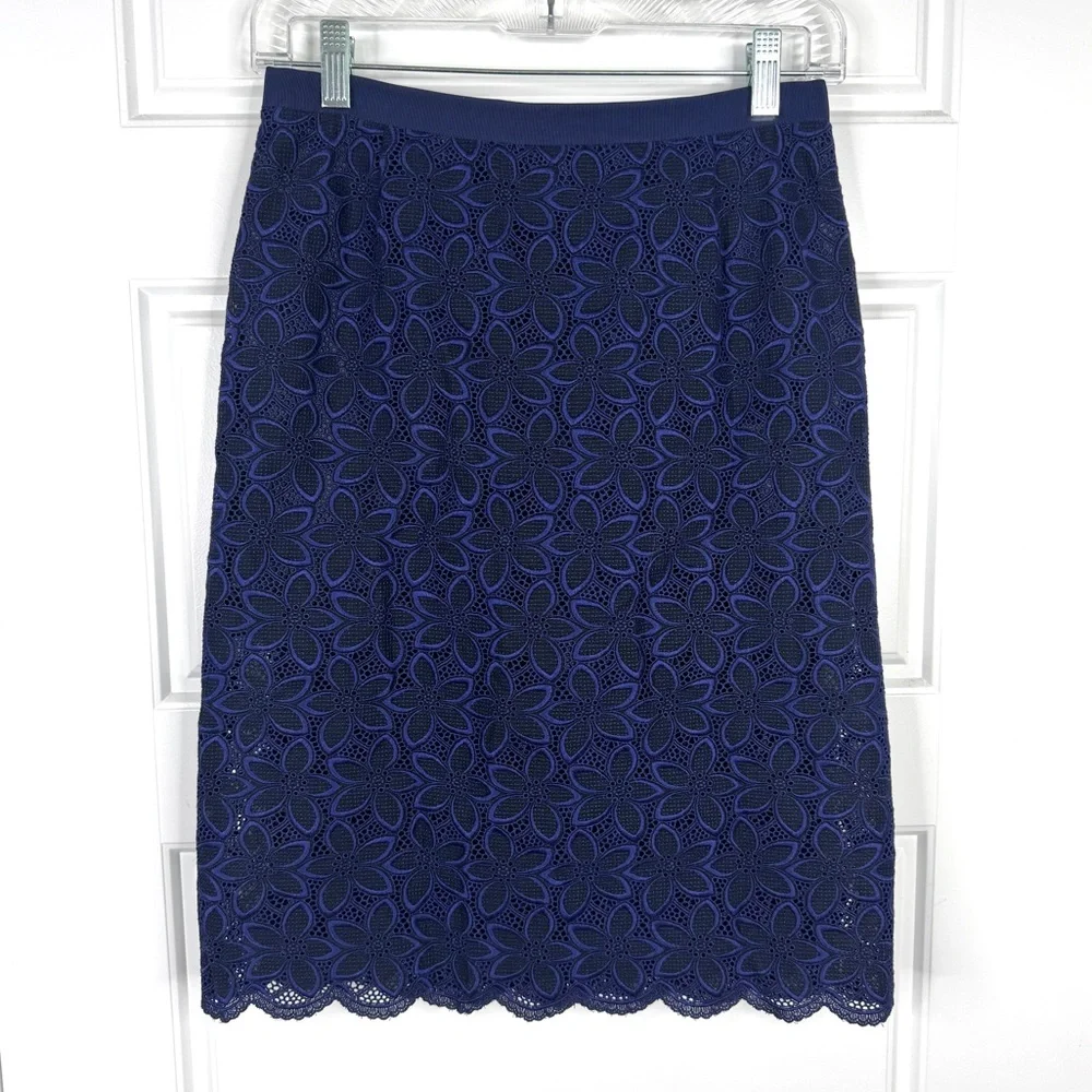 SACAI LUCK Lace Pattern Embroidered Skirt NEW Size 2 Blue